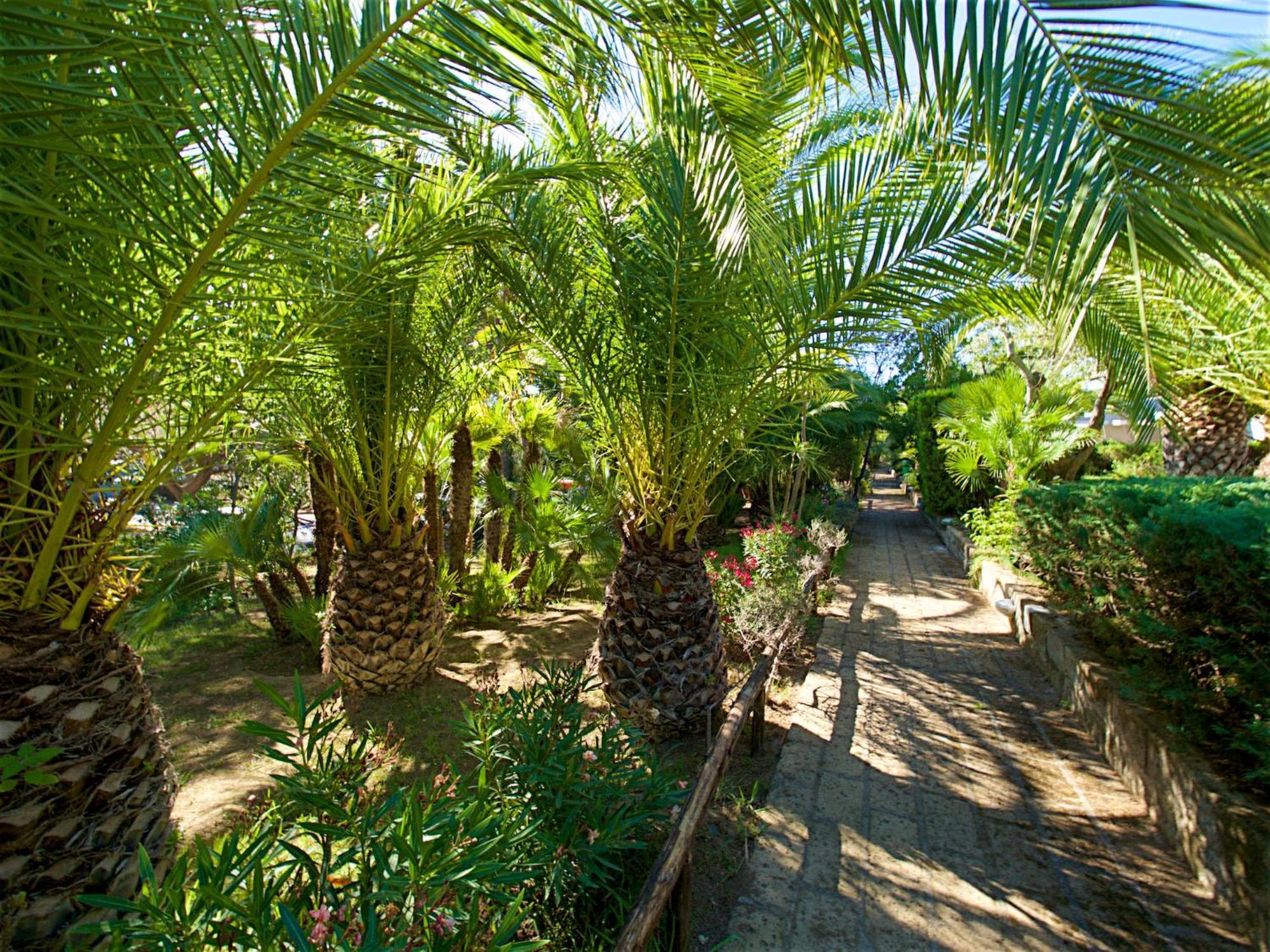 Holiday Home Twoo-Room Comfort By Interhome Castiglione della Pescaia Εξωτερικό φωτογραφία